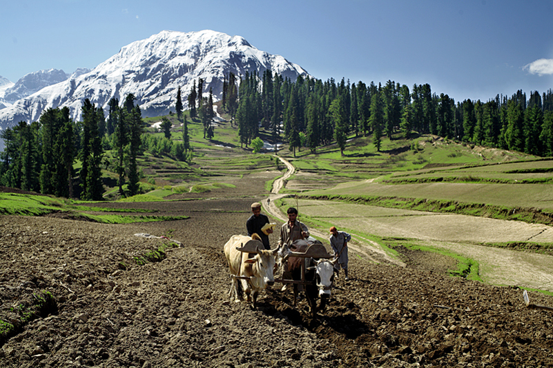 Kaghan and Naran Valley Lake Saif ul Malook